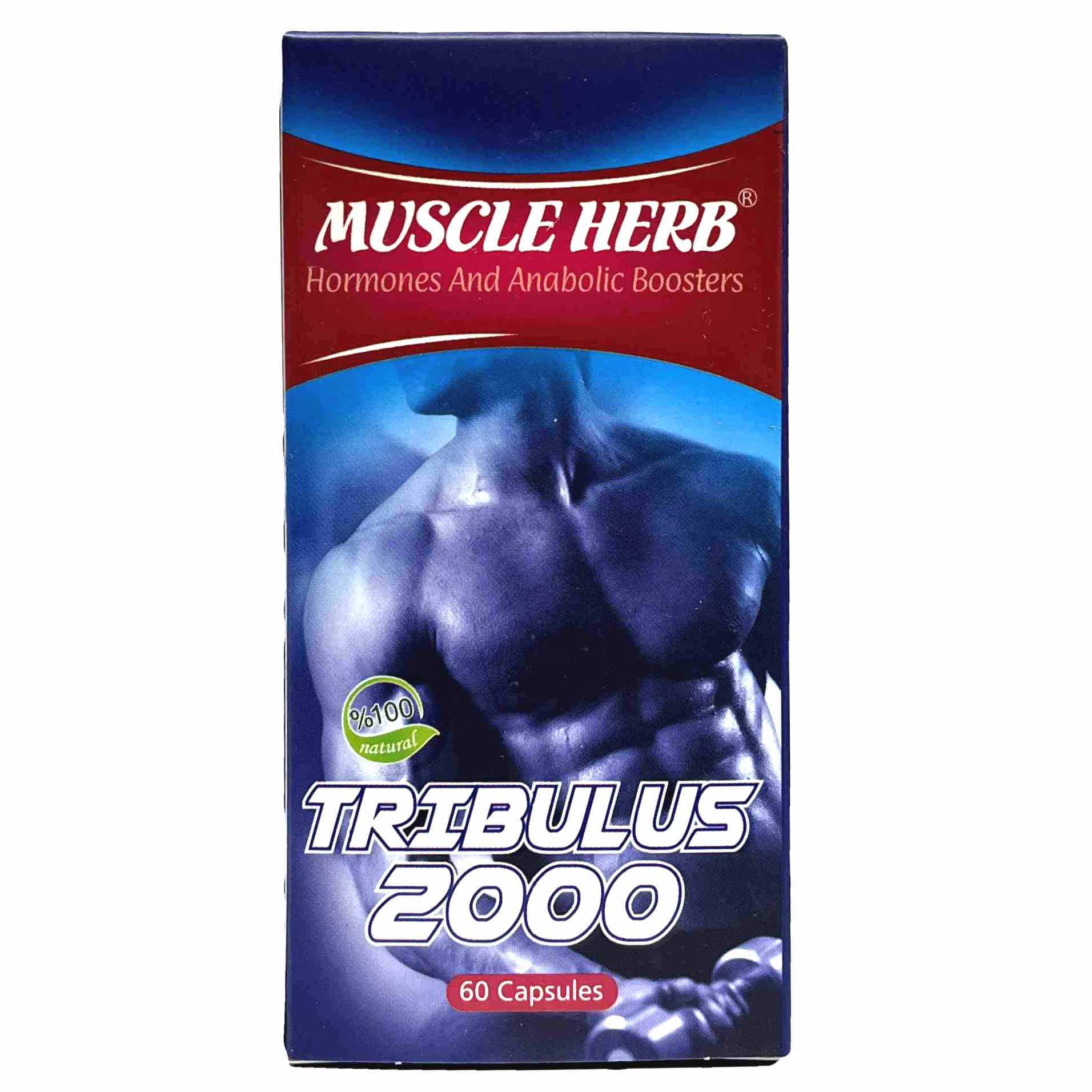 کپسول تریبولوس ماسل هرب بهتا دارو افزایش هورمون های مردانه Muscle Herb